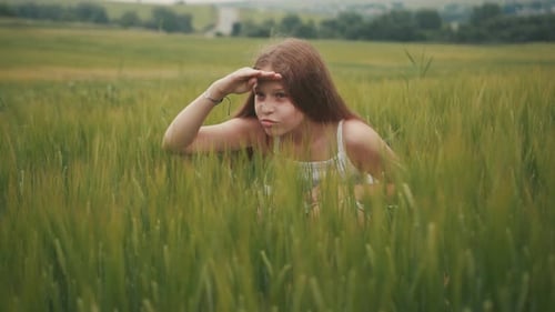 Linda garota caucasiana brincalhona escondida em um campo cheio de talos de trigo olhando de esconde-esconde