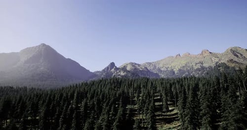 Majestic Mountain Landscape with Green Forests Under a Clear Blue Sky