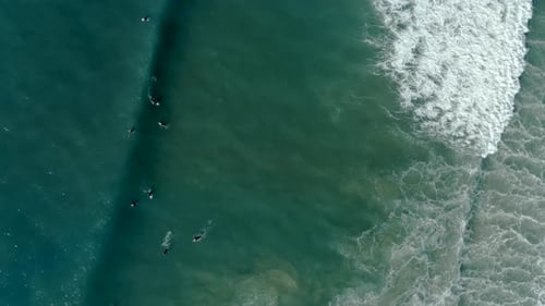 Top-down aerial view of surfers waiting for a perfect wave in the blue sea.