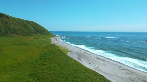 Breathtaking aerial view of the summer beach coastline. Clip. Wild empty sea shore and green fields