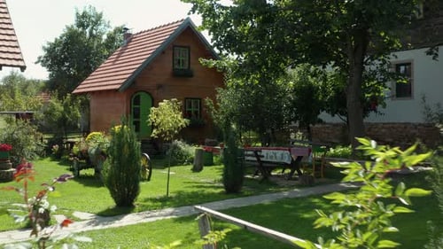 Ornate garden flowers in quaint cottage grounds, sunny spring day