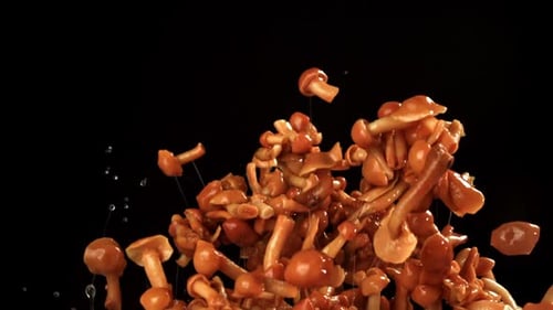 Honey Mushrooms Flying in Slow Motion on Black