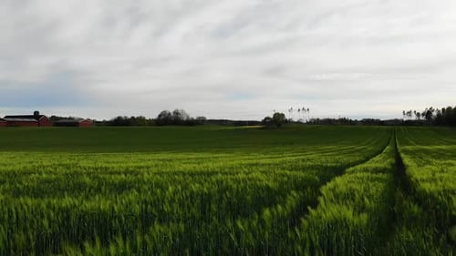 Flying over green fields in the summer.