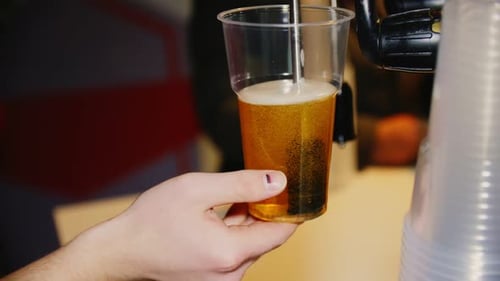 Bartender Fills Cup with Fresh Beer in Cafe Close View
