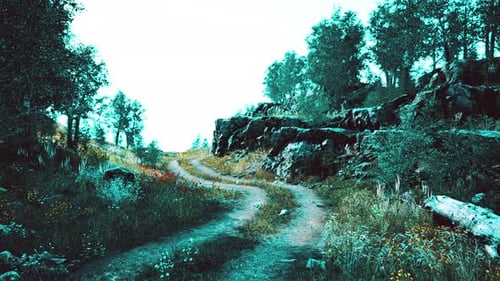 Country Road in a Deciduous Forest on a Foggy Morning
