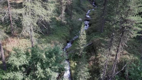 Beautiful creek with small waterfalls in a forest