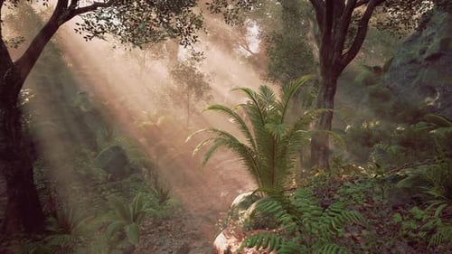 Mysterious Forest Path Illuminated By Sunlight Filtering Through Trees