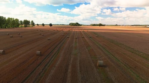 Une large vue aérienne d'un champ récolté avec des balles de foin soigneusement disposées sous un ciel bleu vif