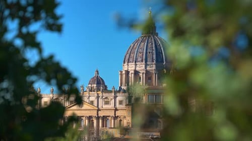 The dome of Saint Peter's Basilica in Vatican city. Green leafs in foreground. Sunset in Italy