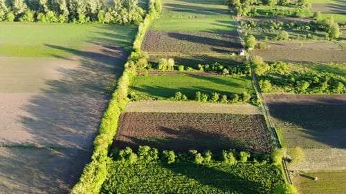 Fly above community gardens during sunset - drone shot