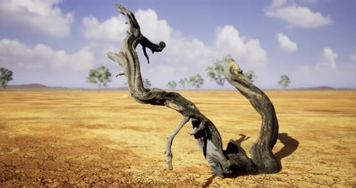 Dried Tree Branch in Arid Landscape Under Blue Sky with Clouds