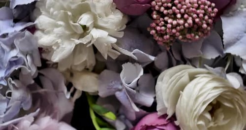 Close-Up of Colorful Flowers, Abstract and Design