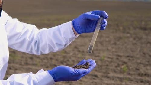 Top View of Soil in Hands for Check the Quality of the Soil for Control Soil Quality Before Seed