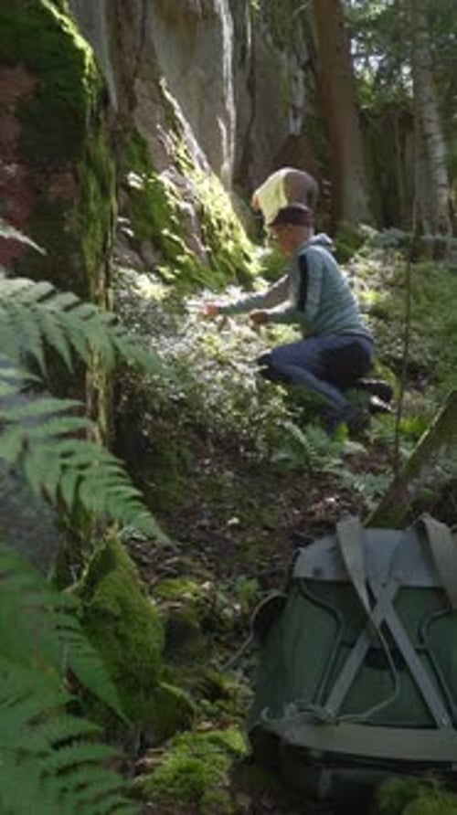 Casal colhendo mirtilos em uma floresta finlandesa