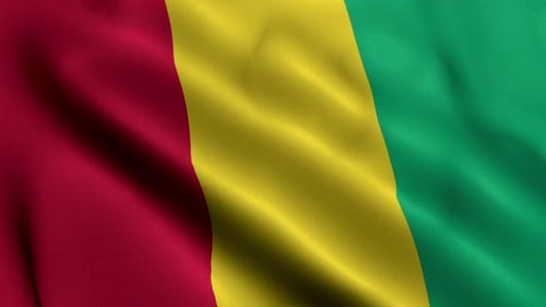 Guinea National Flag Waving Seamless Loop Animation