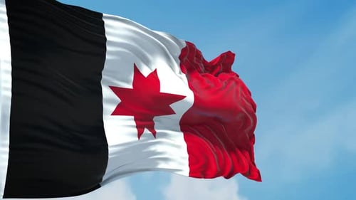 Realistic Waving Flag with Black, White, Red Stripes and Red Star