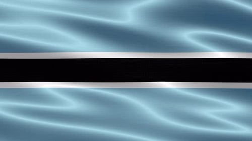 Fluid Waving Flag Seamless Loop Background Animation