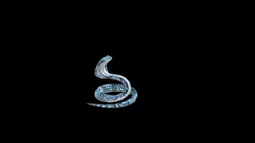 King Cobra Attack Idle 2