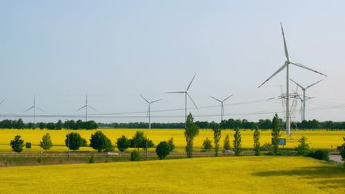Wind Turbine on Grassy Yellow Farm Canola Field Against Cloudy Blue Sky in Rural Area Concept of