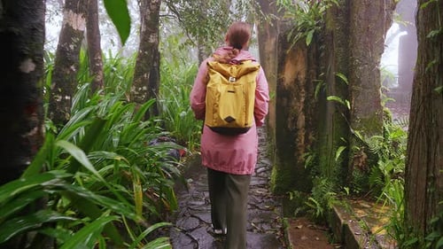 Woman with yellow Backpack walking along narrow Forest Path in misty greenery captured in a Low Angl