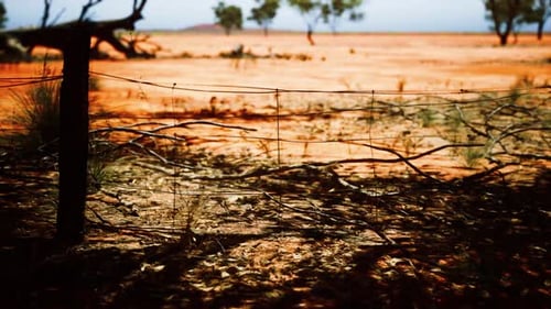 Rustic Fence Post in Arid Outback Landscape