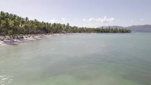 Smooth aerial dolly establishes beautiful white sand of Asserradero Samana Dominican Republic
