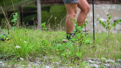 Hikers Walk Through Green Grassy Field