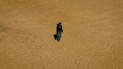 Aerial view of young woman walking on beach