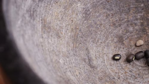 Urad Whole Lentil Black Beans Seeds Nuts Grains Plants Close Up Raw Chinese Soy Bean in Supermarket