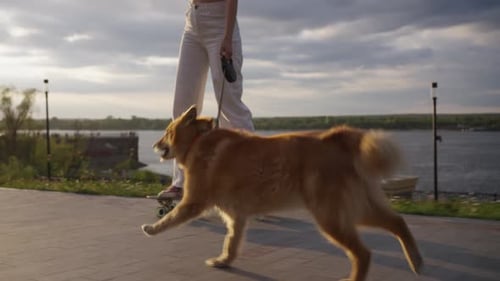 Woman on a Skateboard Rides Along the Promenade with a Red Dog on a Leash