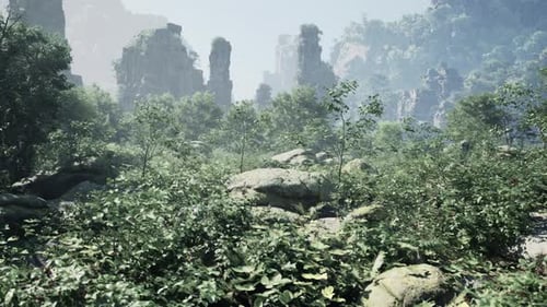 A Forest Filled with Lots of Trees and Rocks