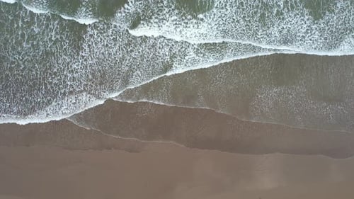 Seeweben