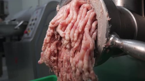 Sausages Meat Process Factory Production Handmade Smoked Boiled Wrap Mincemeat Spice