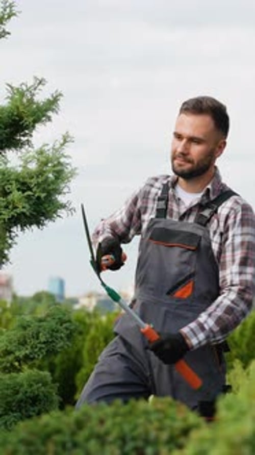 Gardener Pruning Decorative Trees at a Nursery Center