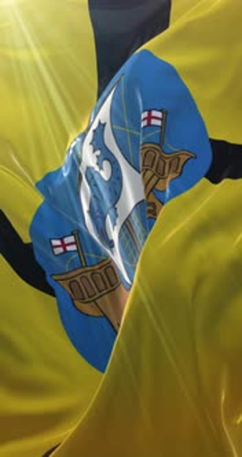 Realistic Waving Flag with Coat of Arms Vertical Loop