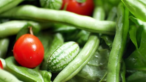 Shallow focus healthy fresh green spinach leaf cucamelon cherry tomato salad bowl closeup top down l
