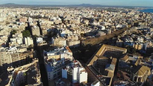 Zumbido que gira lentamente mientras sobrevuela Palma De Mallorca.