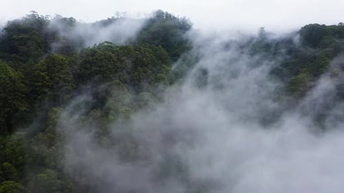 Mountains with Rainforest and Jungle in the Mountainous Province