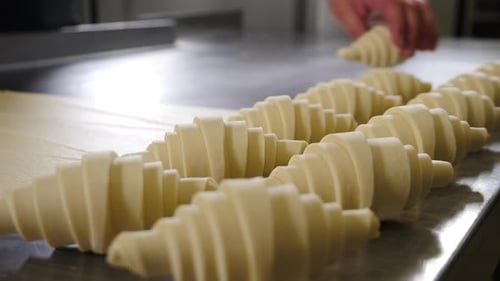 Fresh Croissant Dough Being Shaped in Bakery