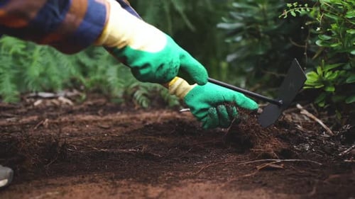 close up of gardening skilled hands weeding in the garden and preparing soil for the next sowing of