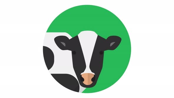 Blinking Cow Head Flat Design Loop Animation, Elements Motion Graphics ...