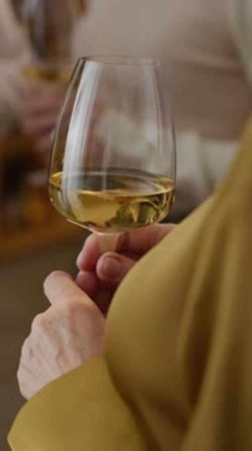 Woman Holding Wine Glass Indoors at Celebration