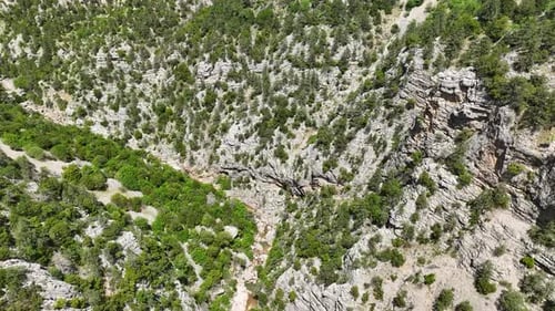 Captivating Wilderness Aerial View of Epic Mountains Enchanting Spring Forest and Majestic Mountain