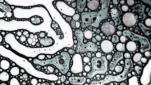 Photo abstraite d'un liquide noir et blanc se mélangeant dans des motifs organiques uniques