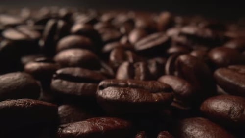 Close Up of Seeds of Coffee
