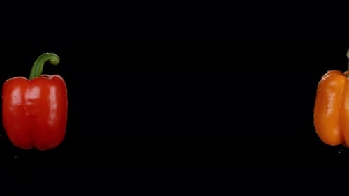 Vibrant Peppers Washed with Water on Black Background