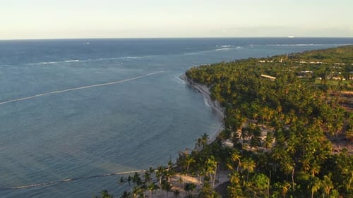 Goldenes Licht beleuchtet Palmen und das offene Meer bei Sonnenaufgang