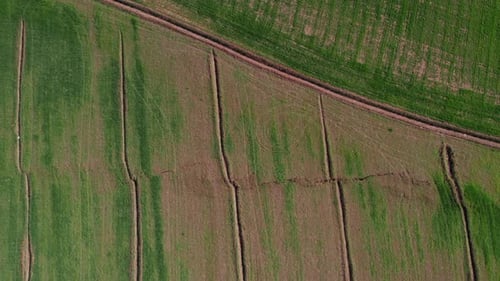 Fault Line Fracture in the Field of Agriculture