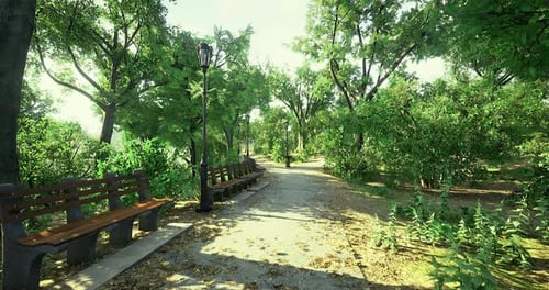 Peaceful Park Pathway Lined with Benches and Lush Greenery in Daylight