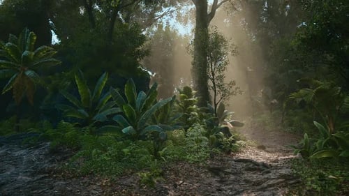 Sunlight Filtering Through Dense Foliage in a Tranquil Forest Clearing